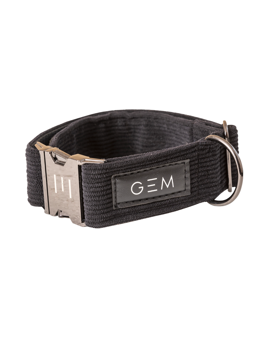 Dog Collar